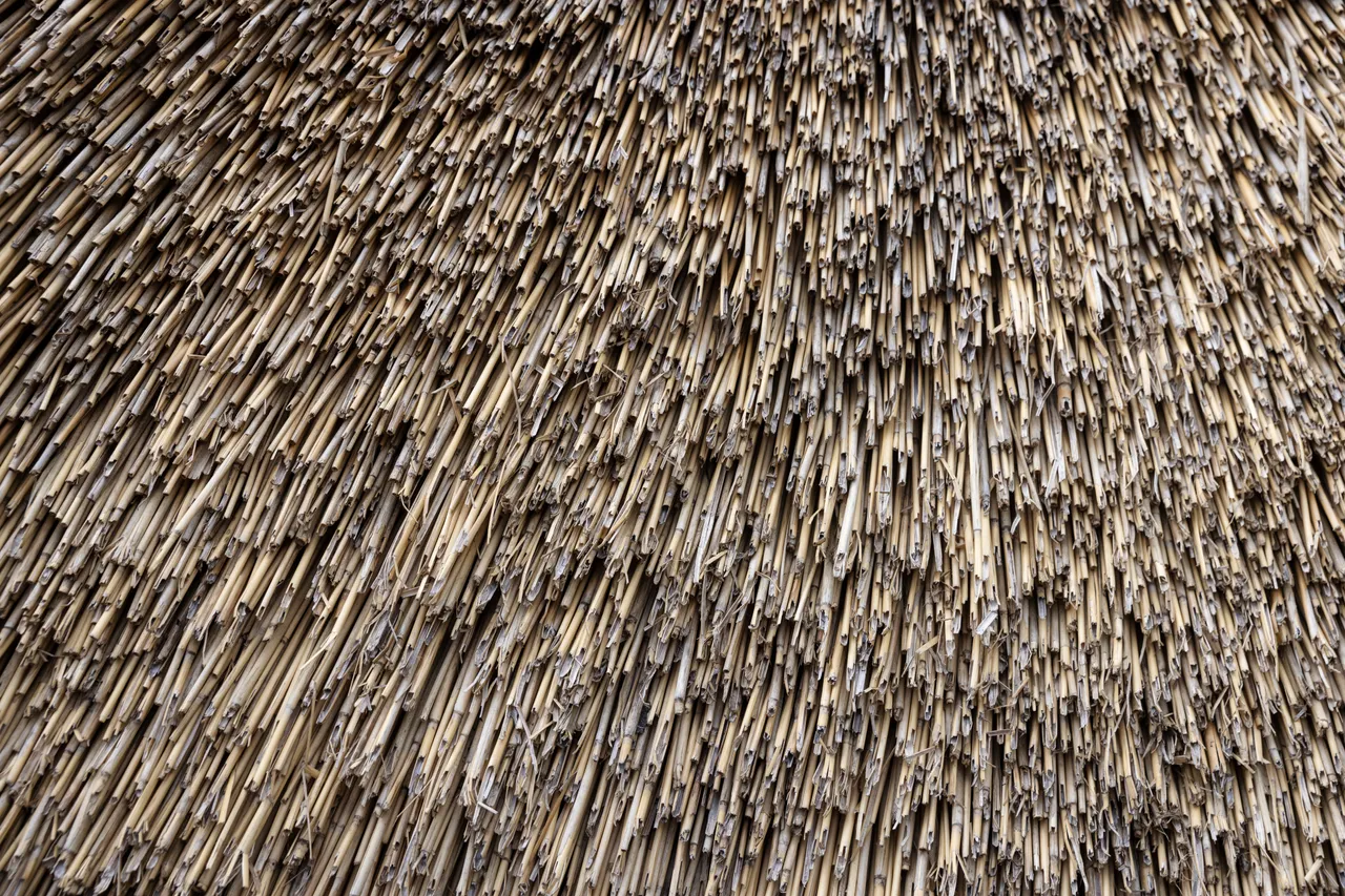 The Scottish Crannog Centre