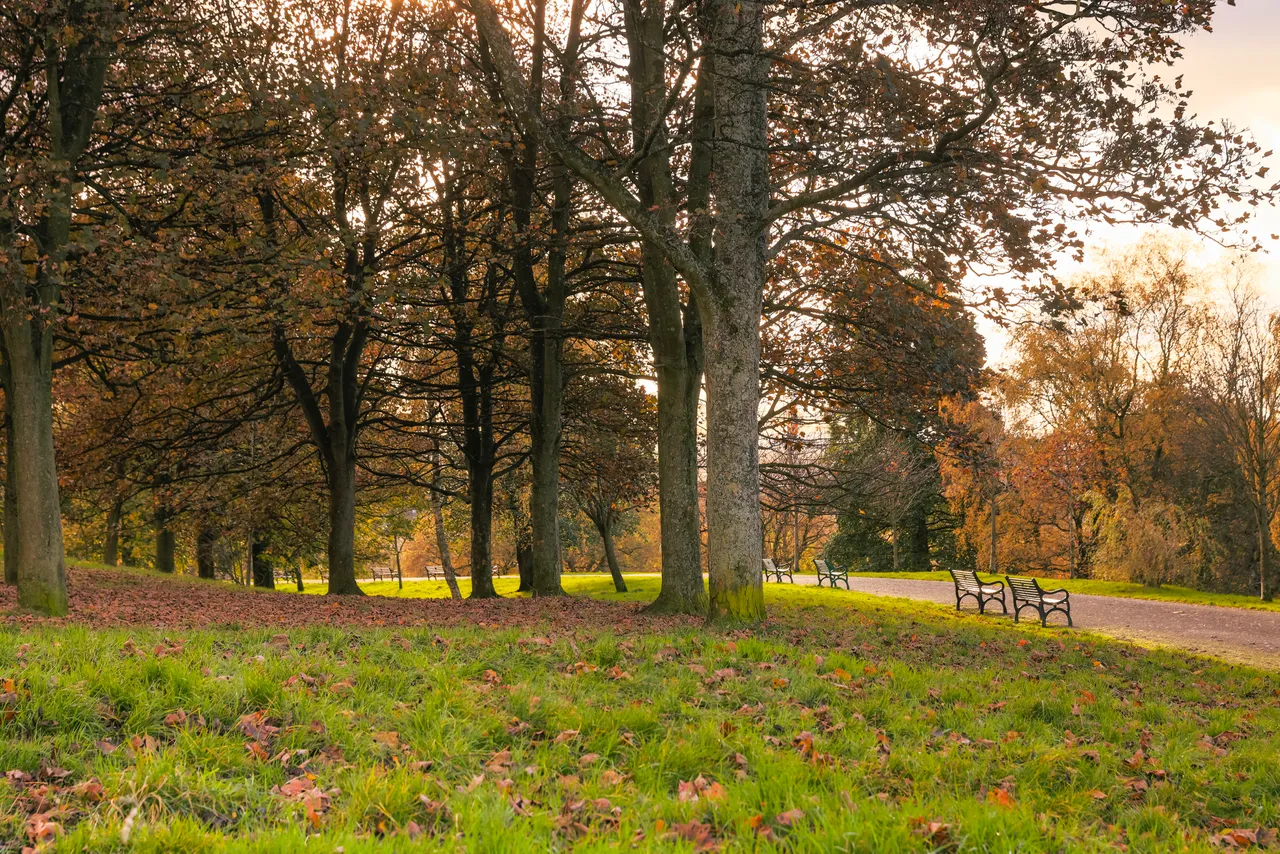 Kelvingrove Park