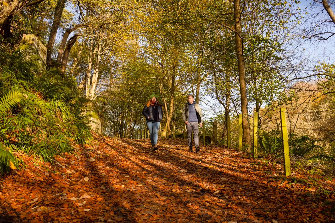 Roslin Glen