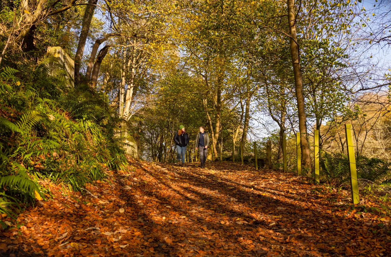 Roslin Glen