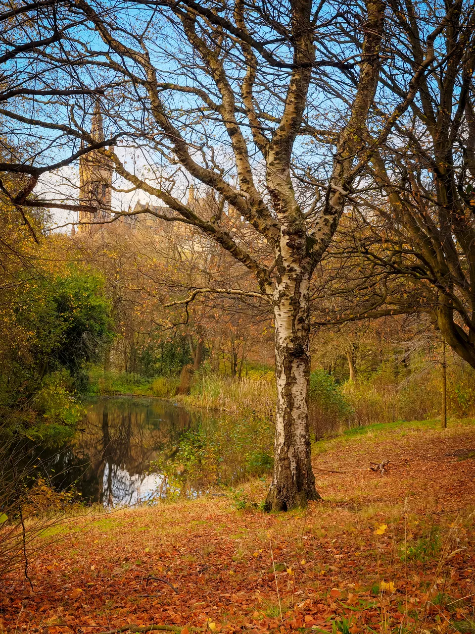 Kelvingrove Park