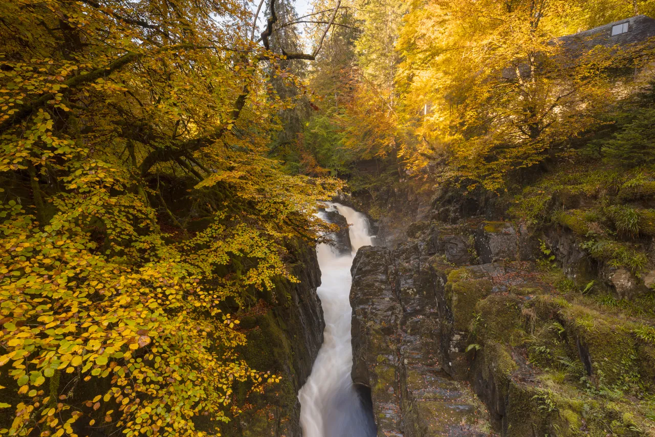 Black Linn Falls at The Hermitage