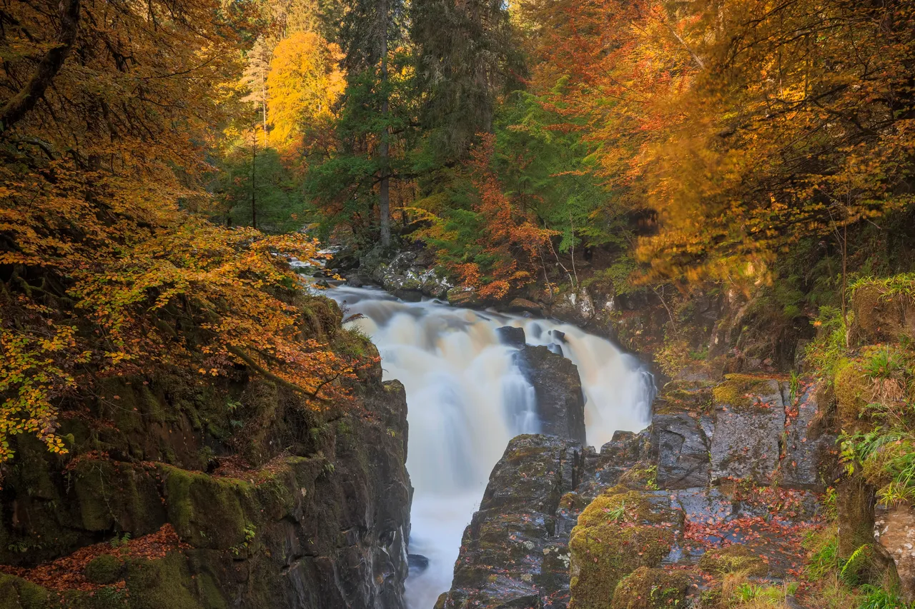Black Linn Falls at The Hermitage