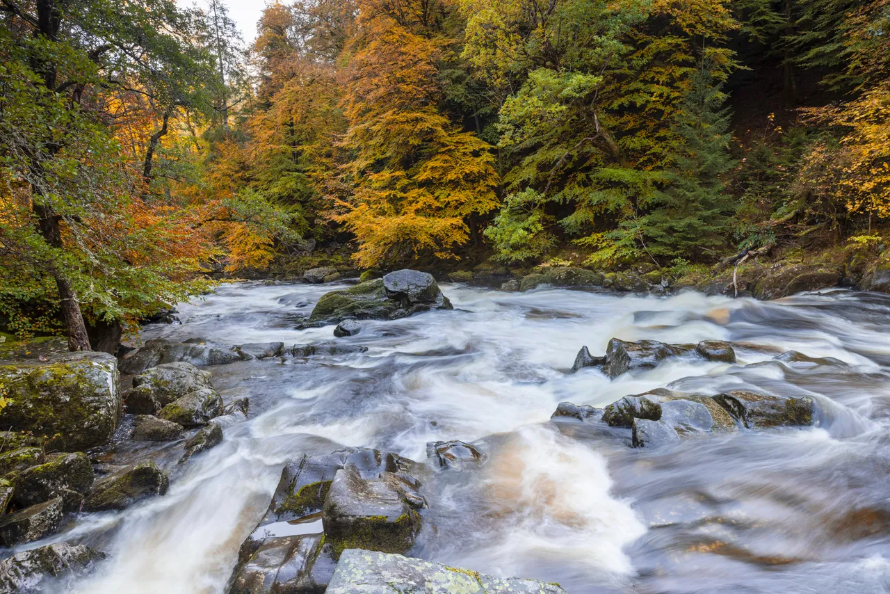 River Braan