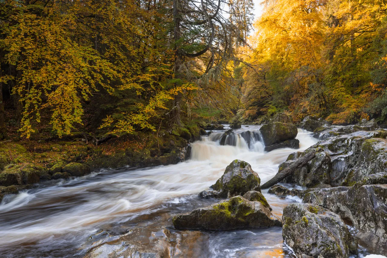 River Braan