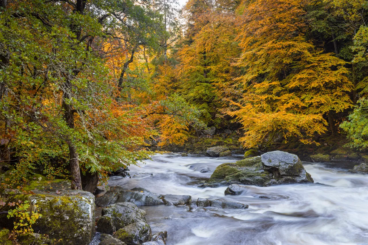 River Braan