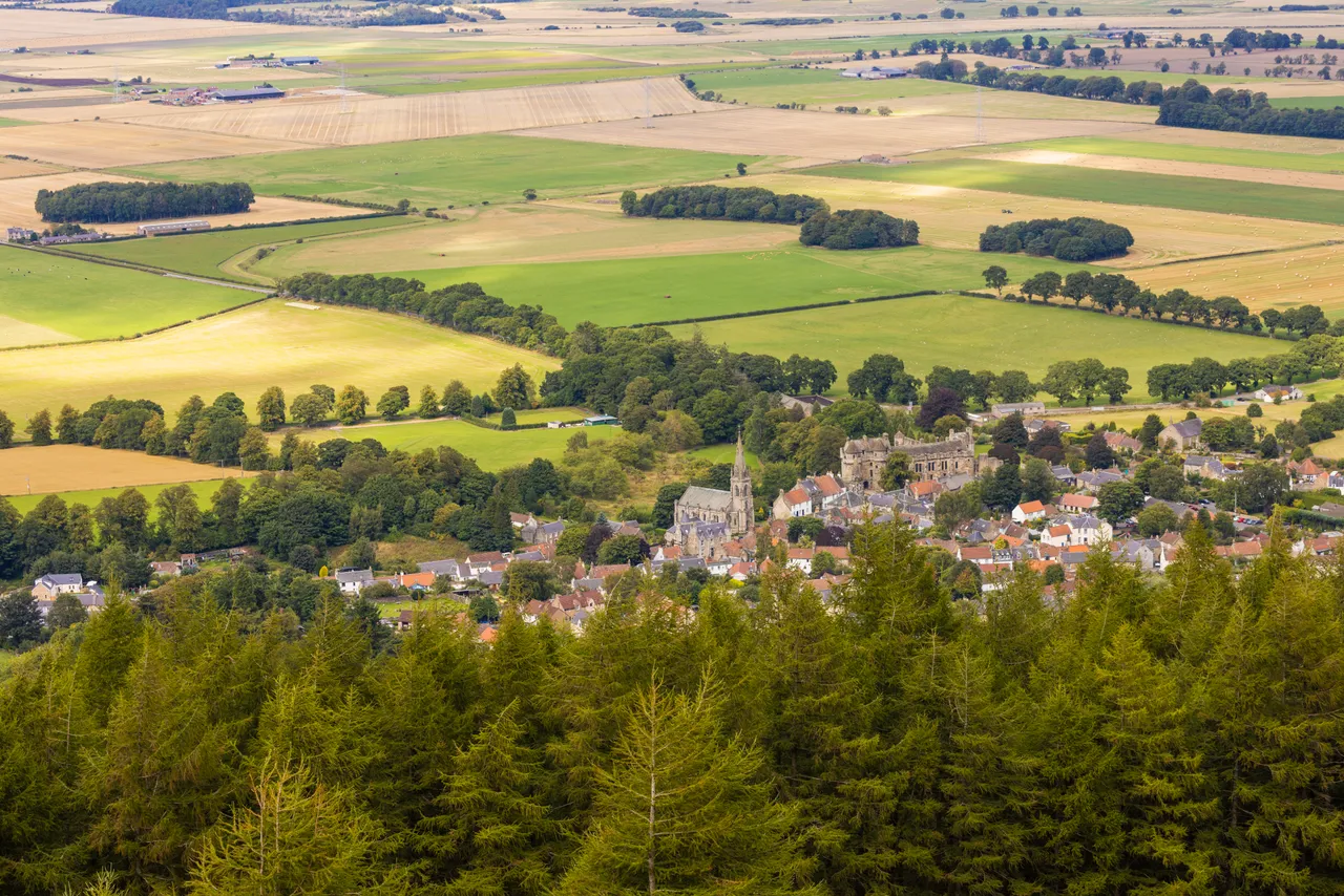 Falkland