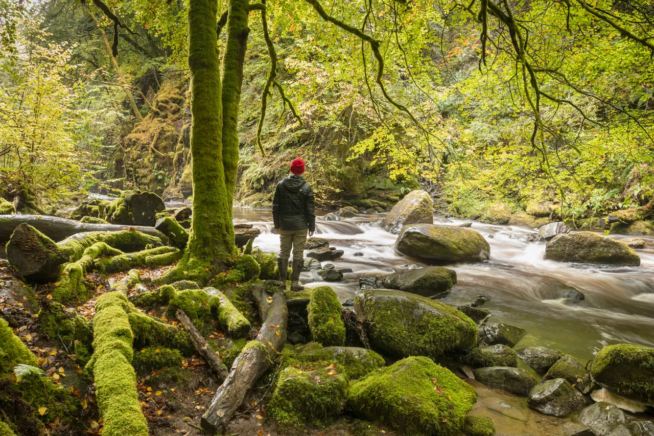 Birks of Aberfeldy