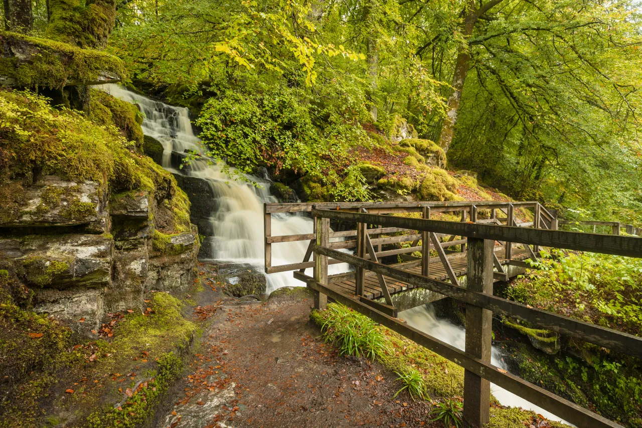 Birks of Aberfeldy