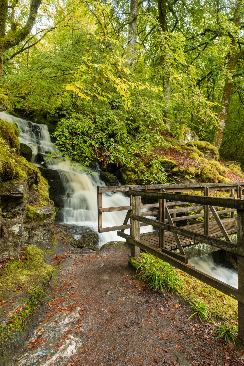 Birks of Aberfeldy