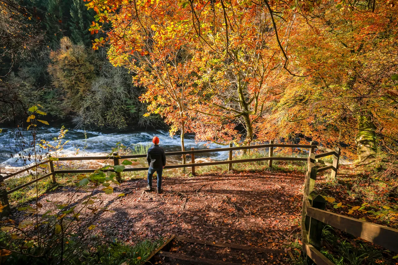 Falls of Clyde