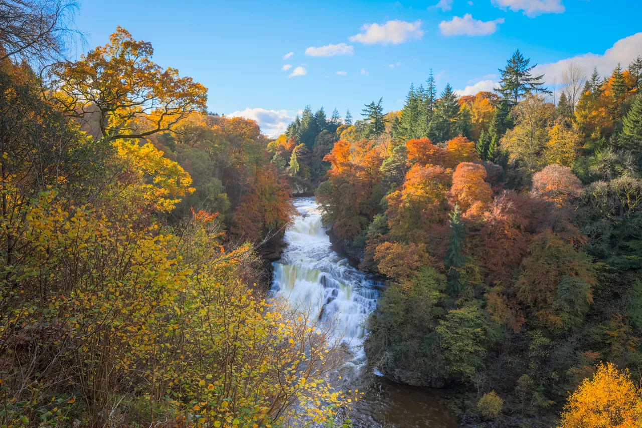 Falls of Clyde Wildlife Reserve