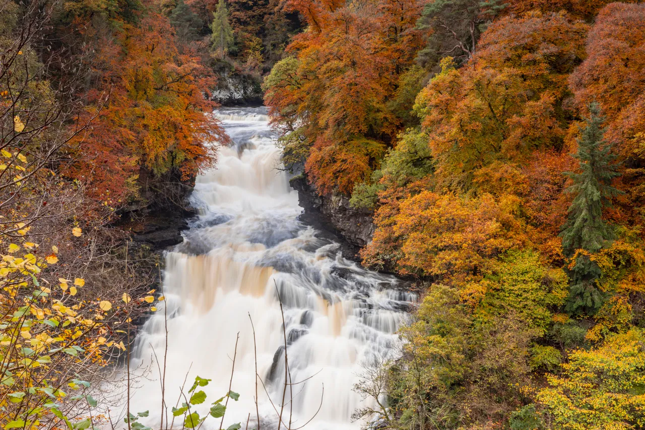 Falls of Clyde Wildlife Reserve