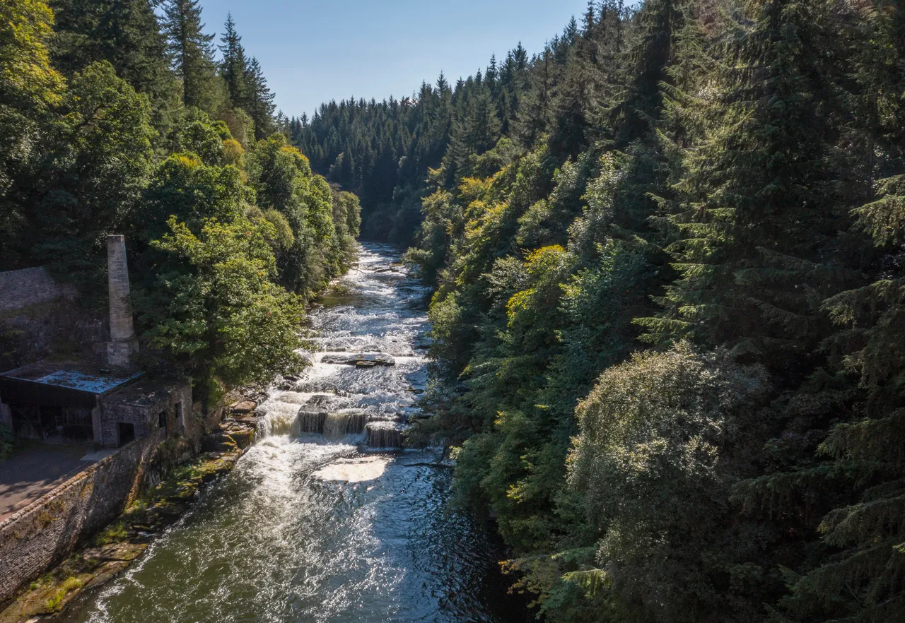 Falls of Clyde Wildlife Reserve