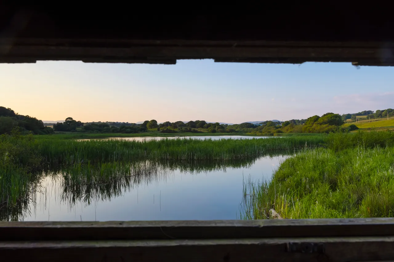 Kirk Dam Bird Hide