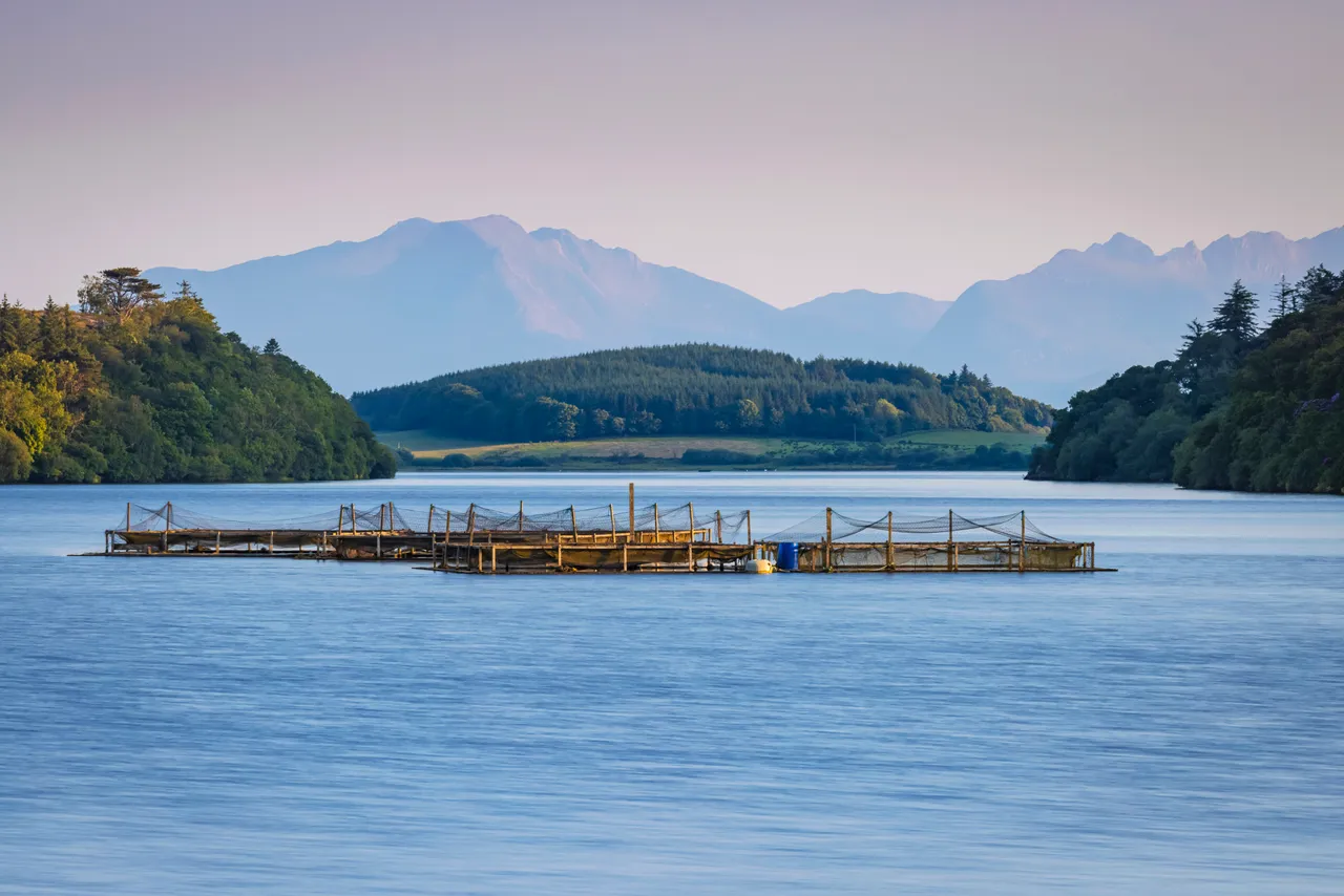 Loch Fad