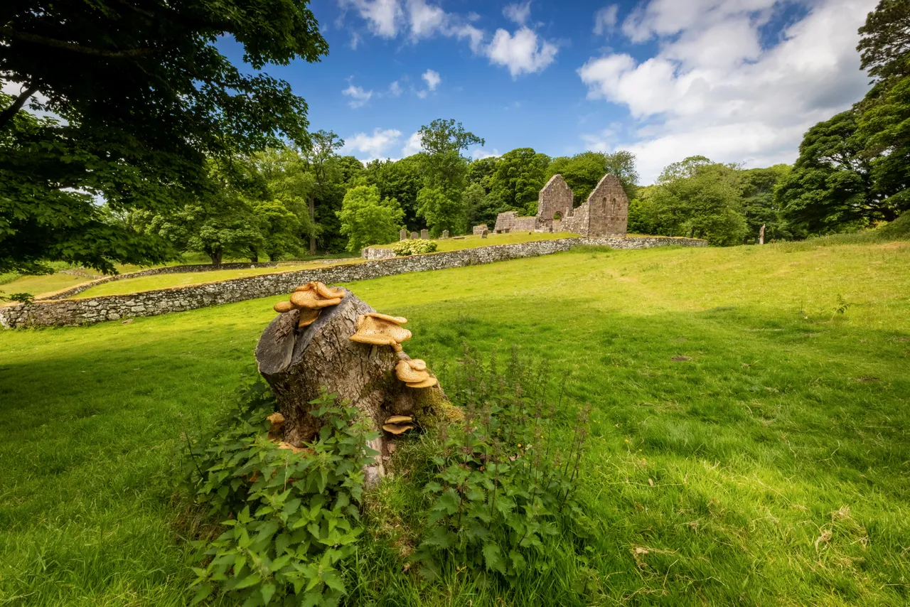 St Blane’s Church, Isle of Bute