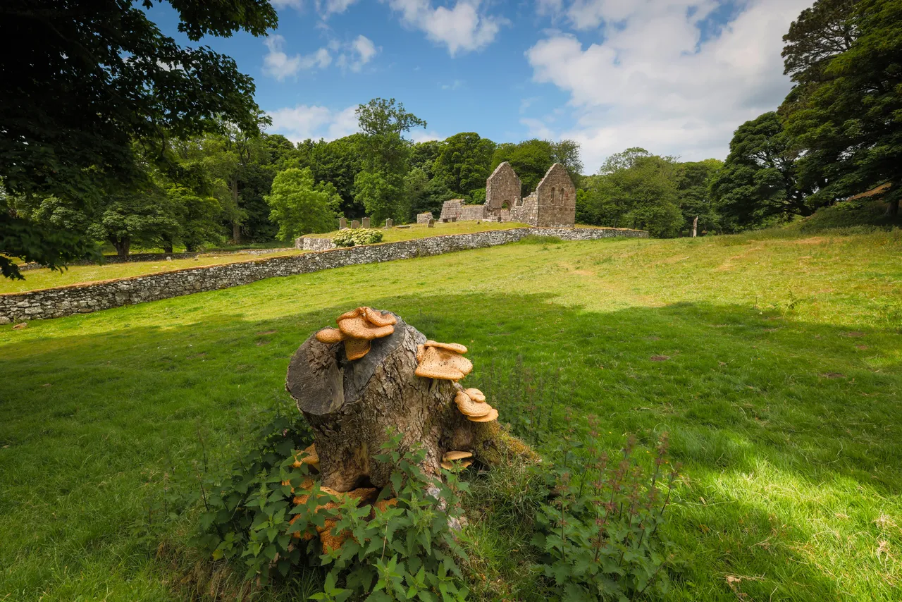 St Blane’s Church, Isle of Bute