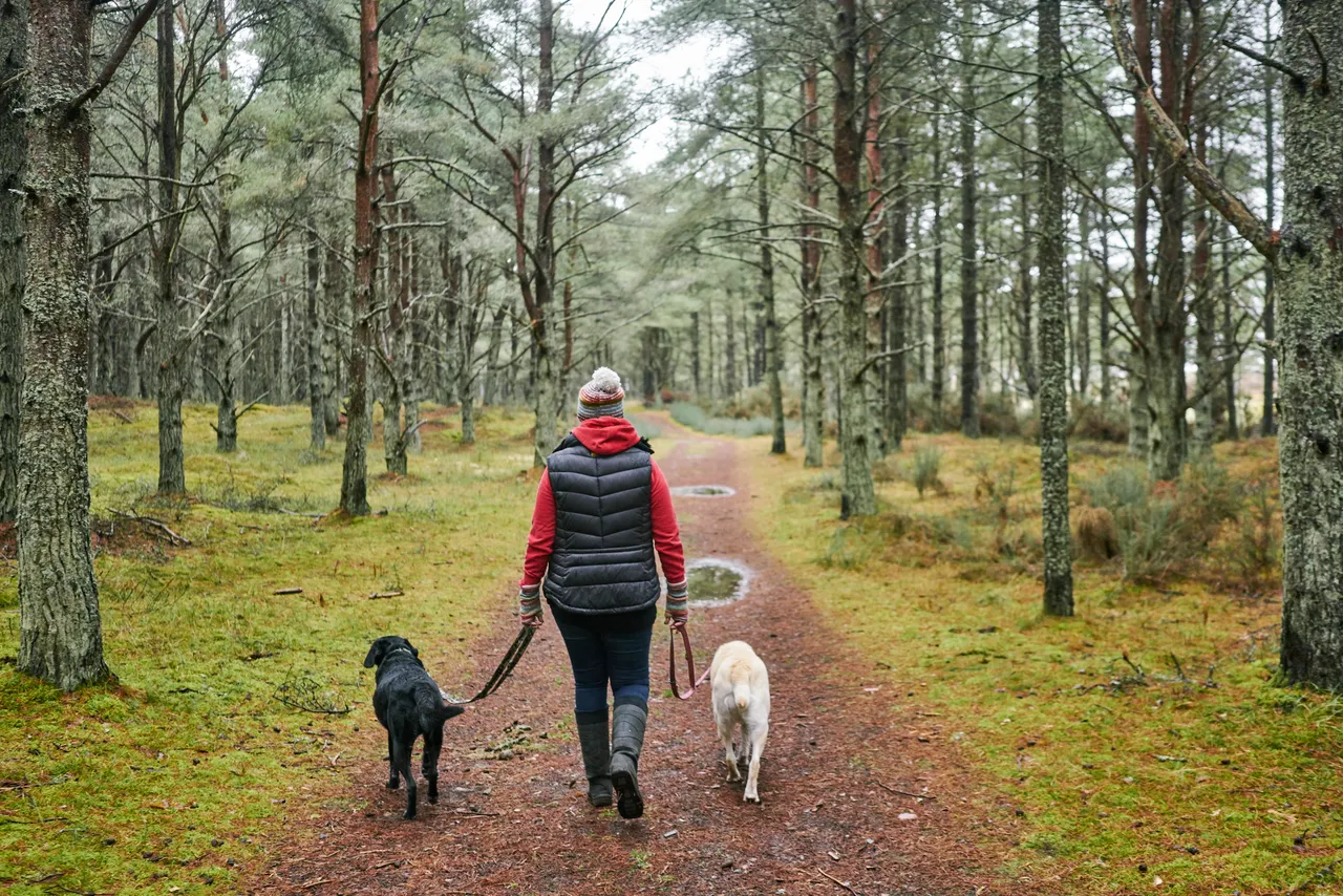 Tentsmuir National Nature Reserve