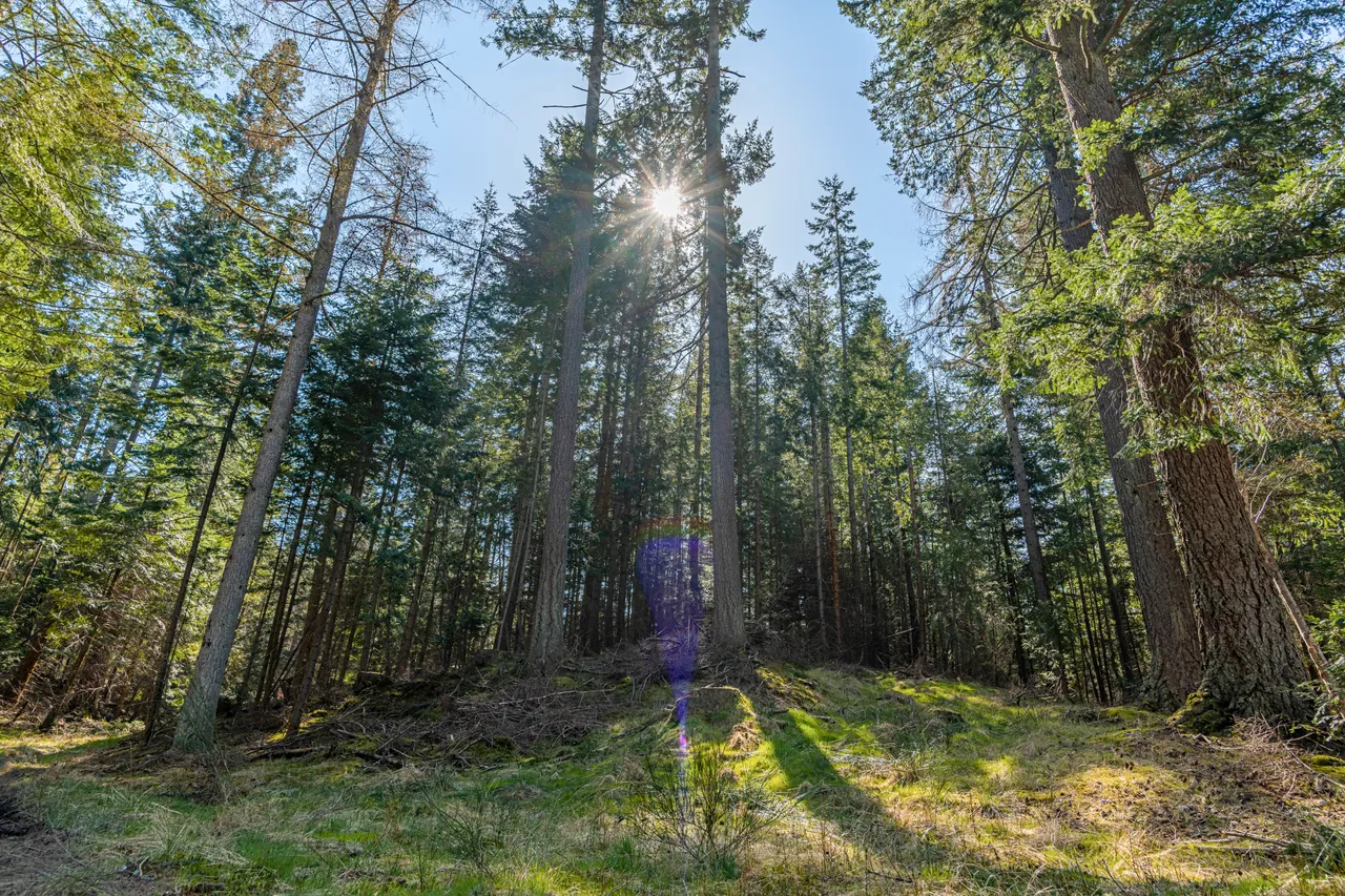 Cairn o' Mount