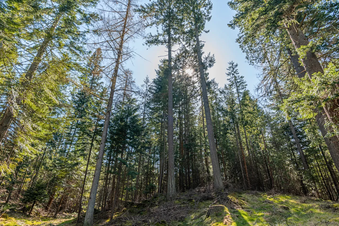 Cairn o' Mount