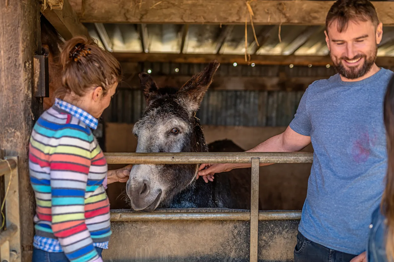 Boutique Farm Bothies