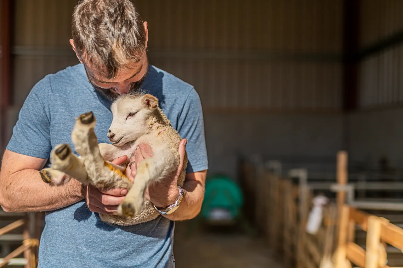 Boutique Farm Bothies