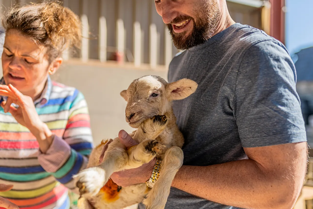Boutique Farm Bothies