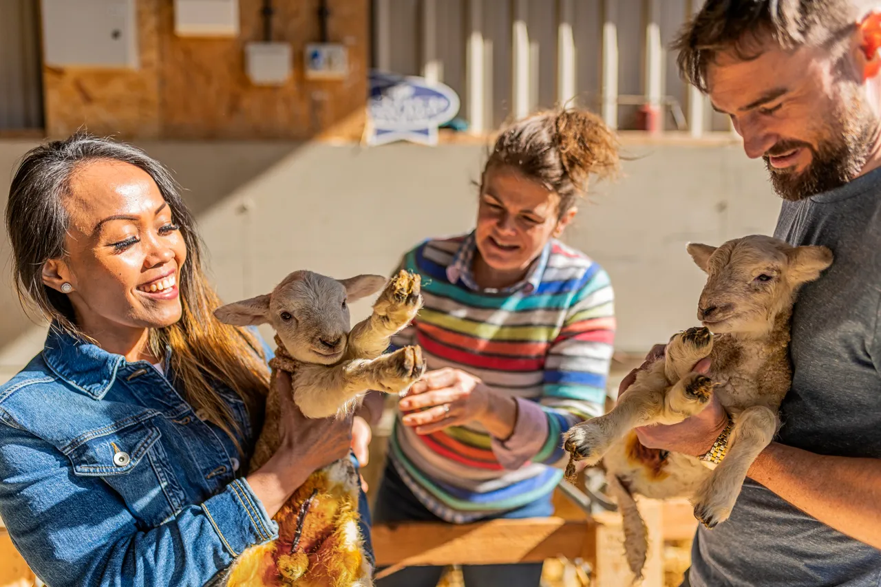 Boutique Farm Bothies