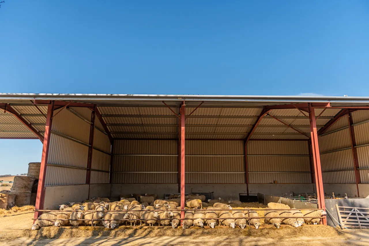 Boutique Farm Bothies