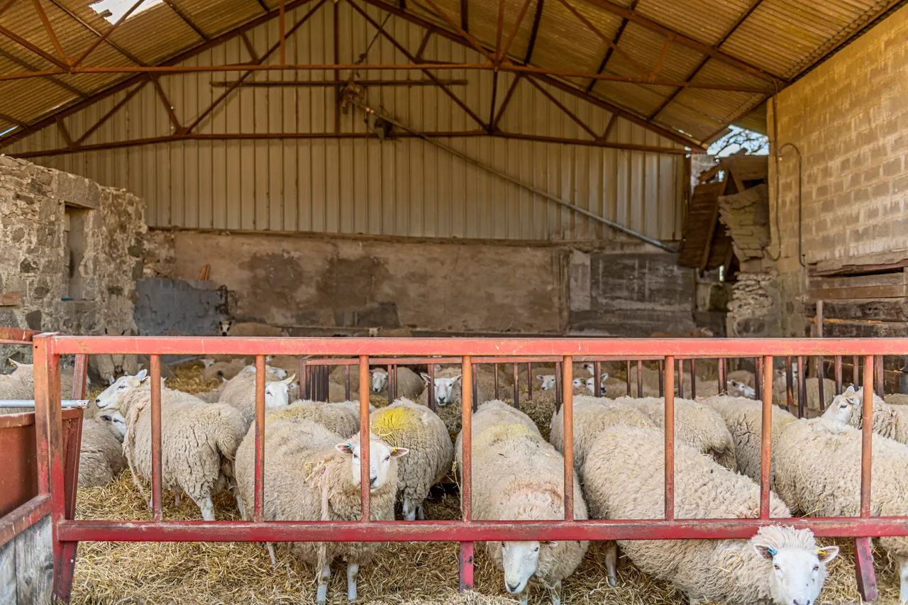 Boutique Farm Bothies