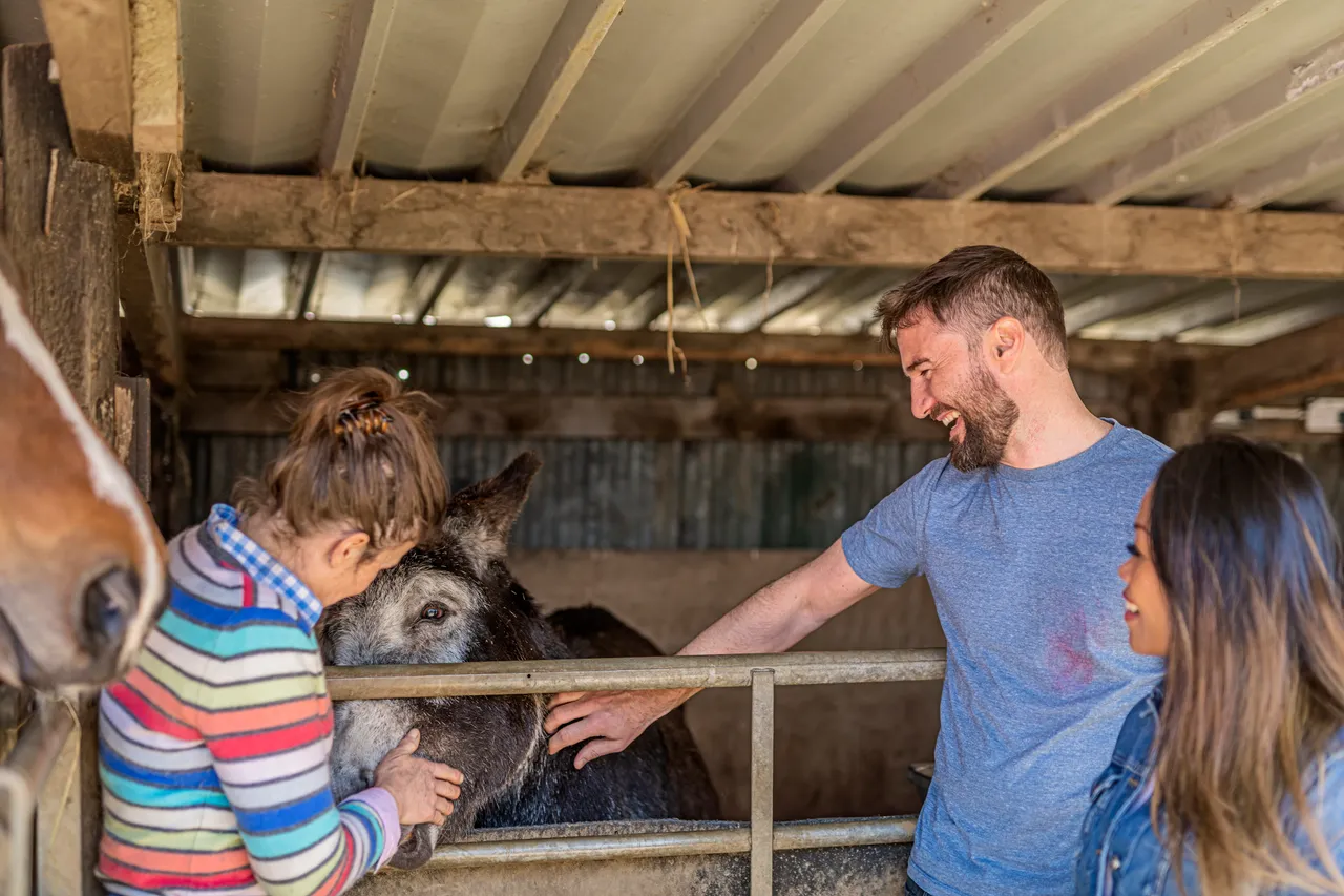 Boutique Farm Bothies