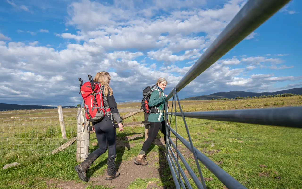 Hill Walkers
