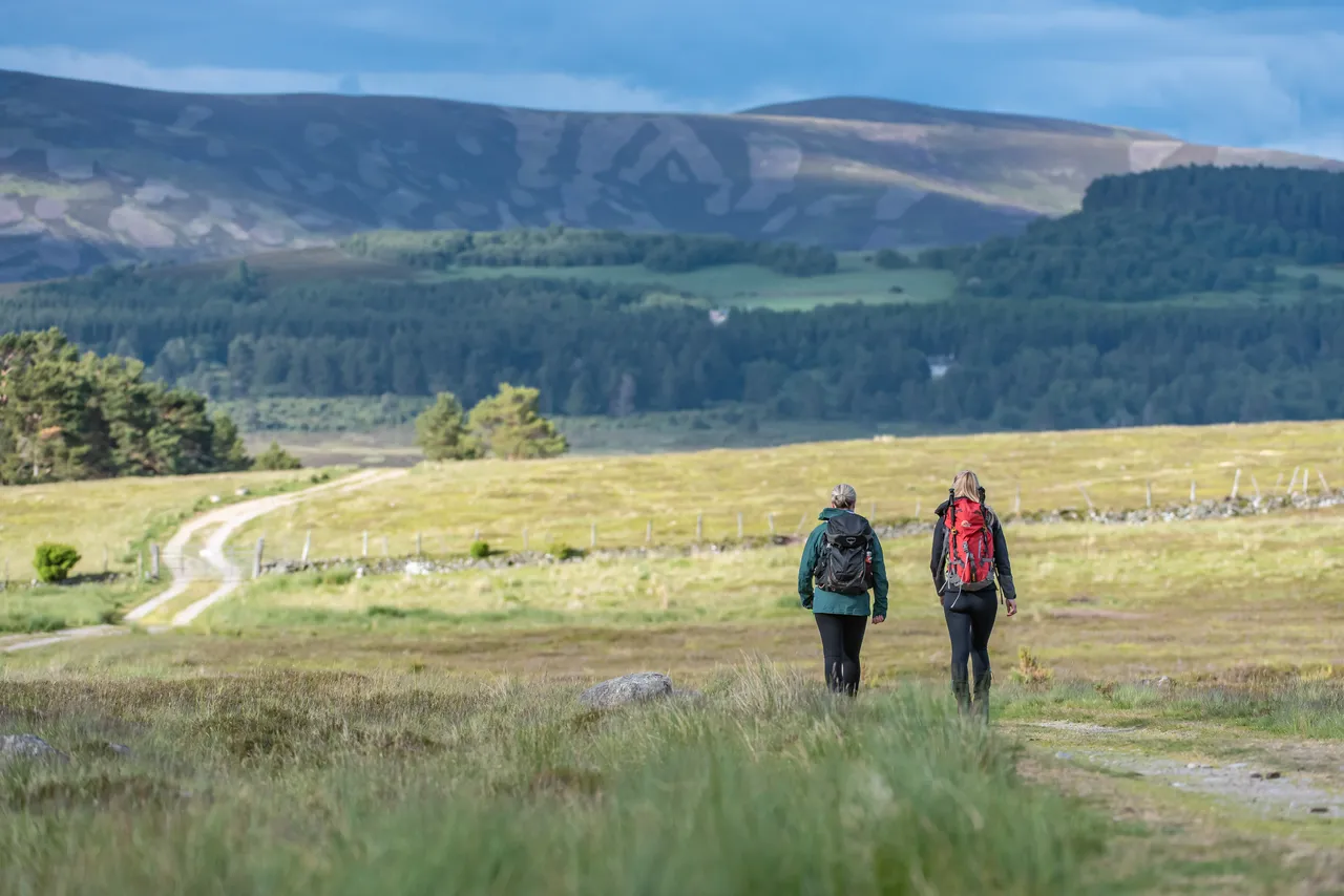 Hill Walkers