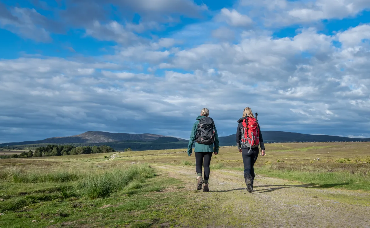 Hill Walkers