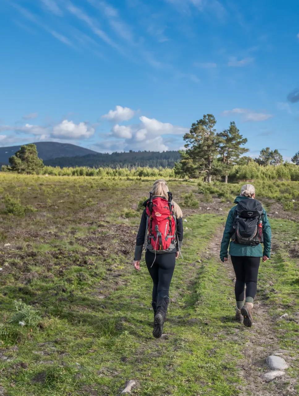 Hill Walkers