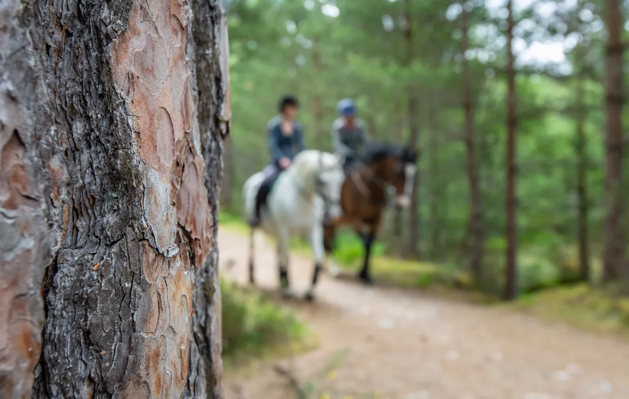 Cairngorms on Horseback
