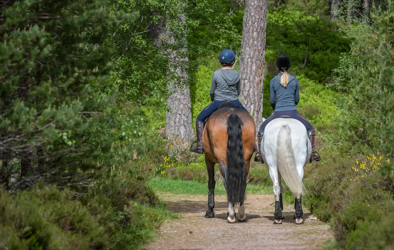 Cairngorms on Horseback