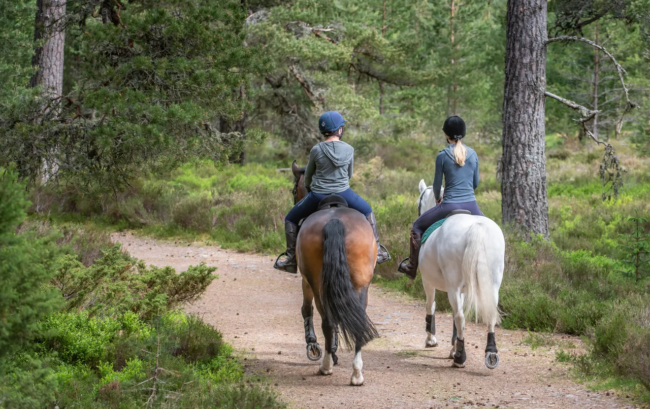 Cairngorms on Horseback