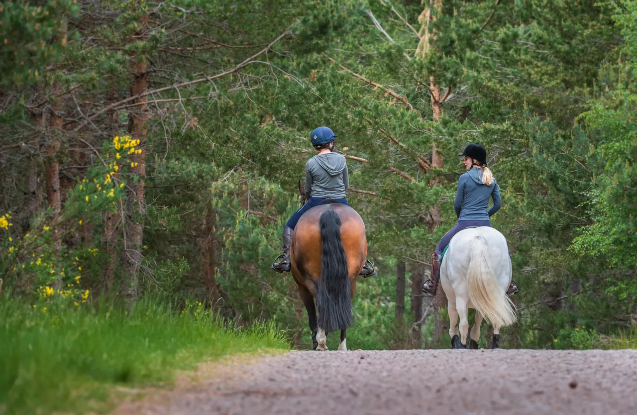 Cairngorms on Horseback