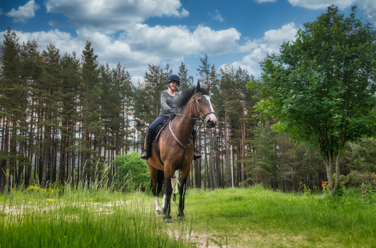 Cairngorms on Horseback