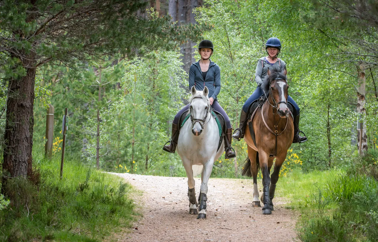 Cairngorms on Horseback
