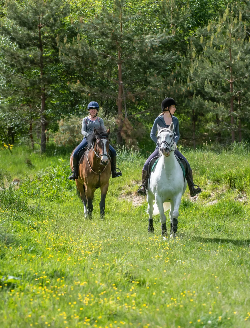 Cairngorms on Horseback