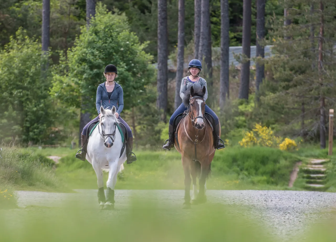 Cairngorms on Horseback
