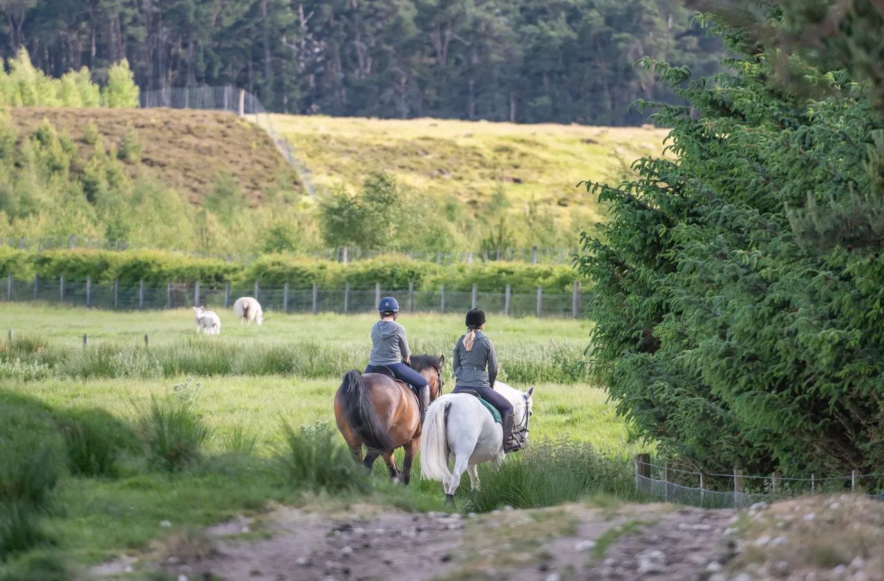 Cairngorms on Horseback