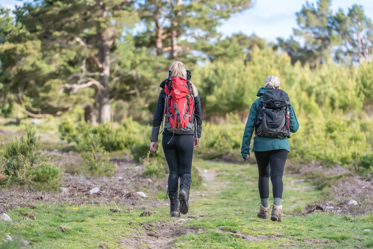 Hill Walkers