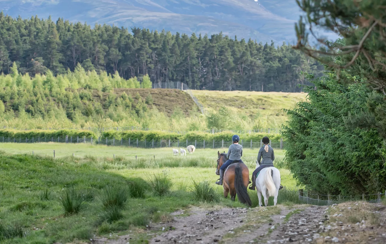 Cairngorms on Horseback