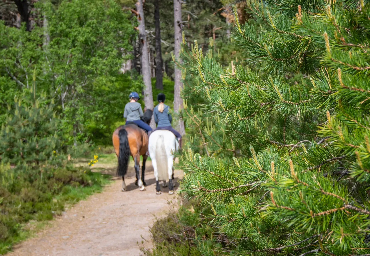 Cairngorms on Horseback