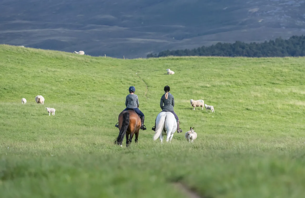 Cairngorms on Horseback