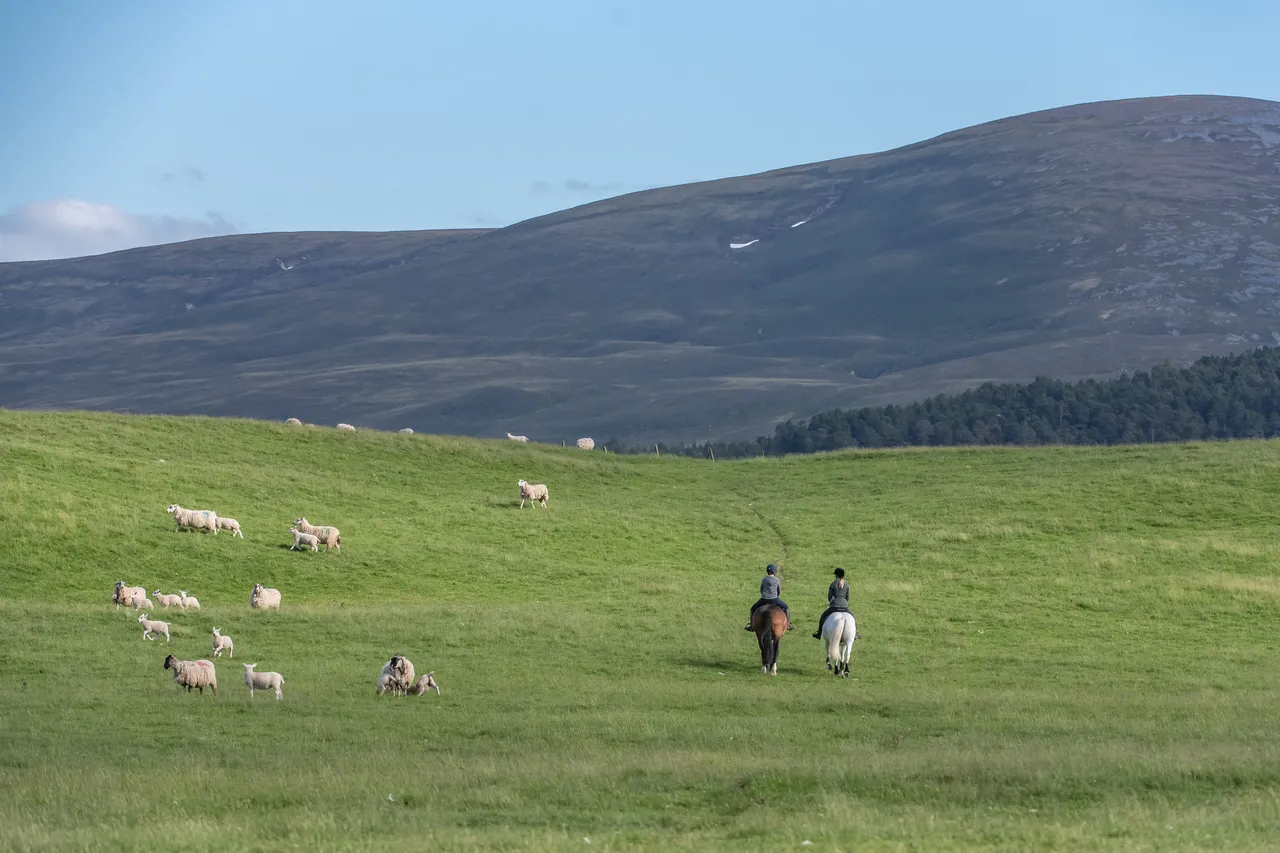 Cairngorms on Horseback